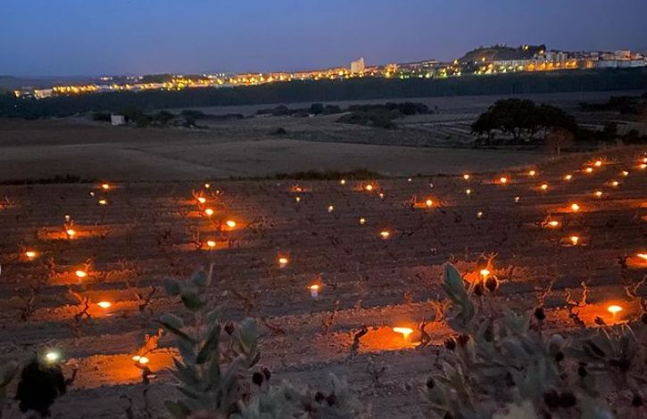 velas parafina